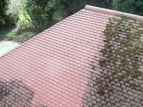 Roof Cleaning Honiton