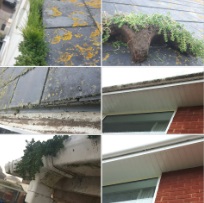Gutter Cleaning Honiton